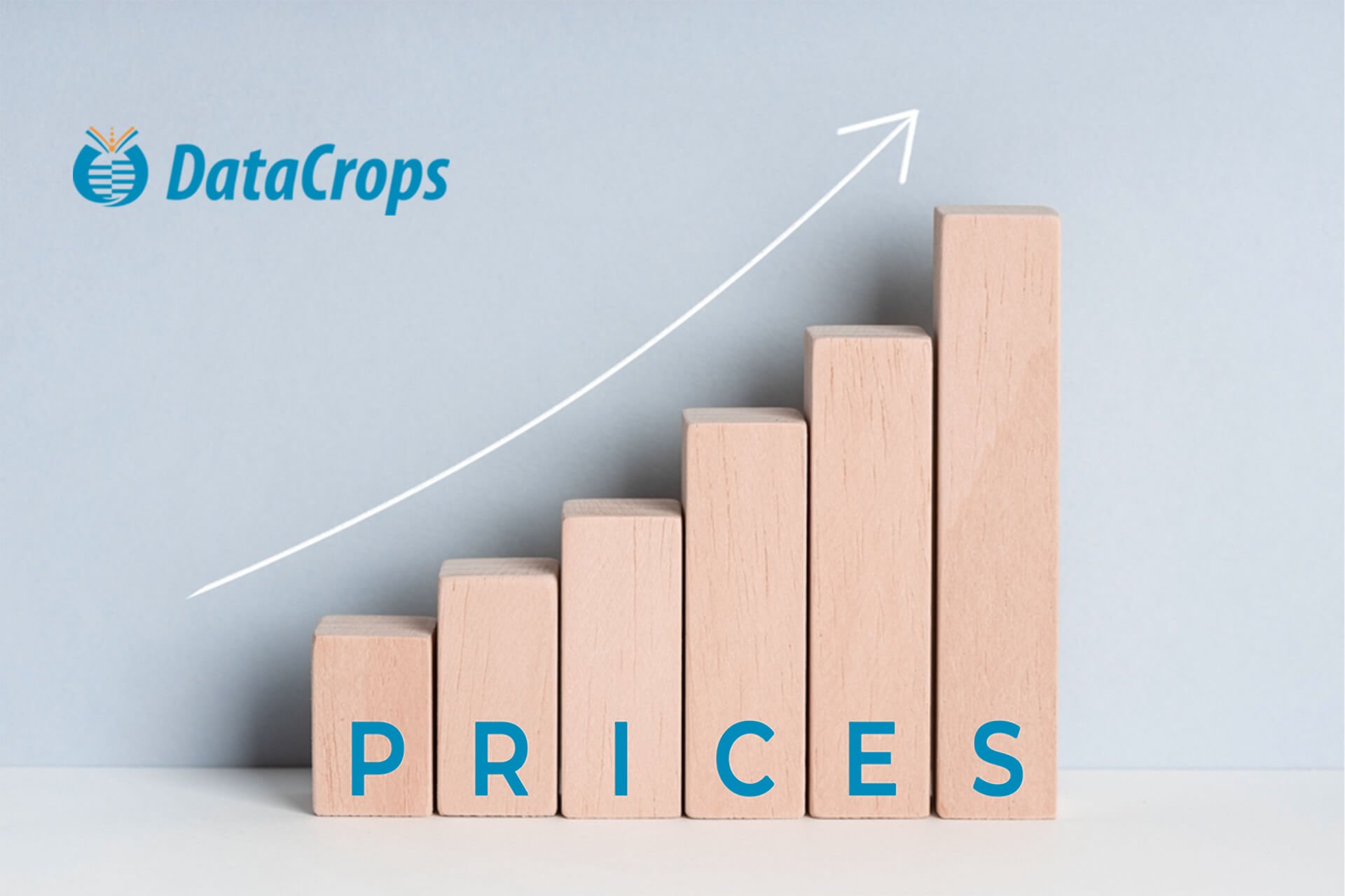 Competitor Price Monitoring Software, online price monitoring